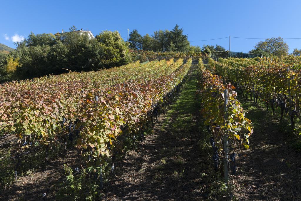 Agriturismo Gli Elfi Aosta Eksteriør bilde